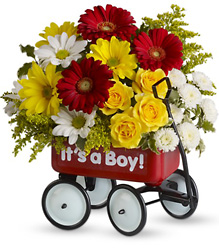 Baby's Wow Wagon by Teleflora from Schultz Florists, flower delivery in Chicago
